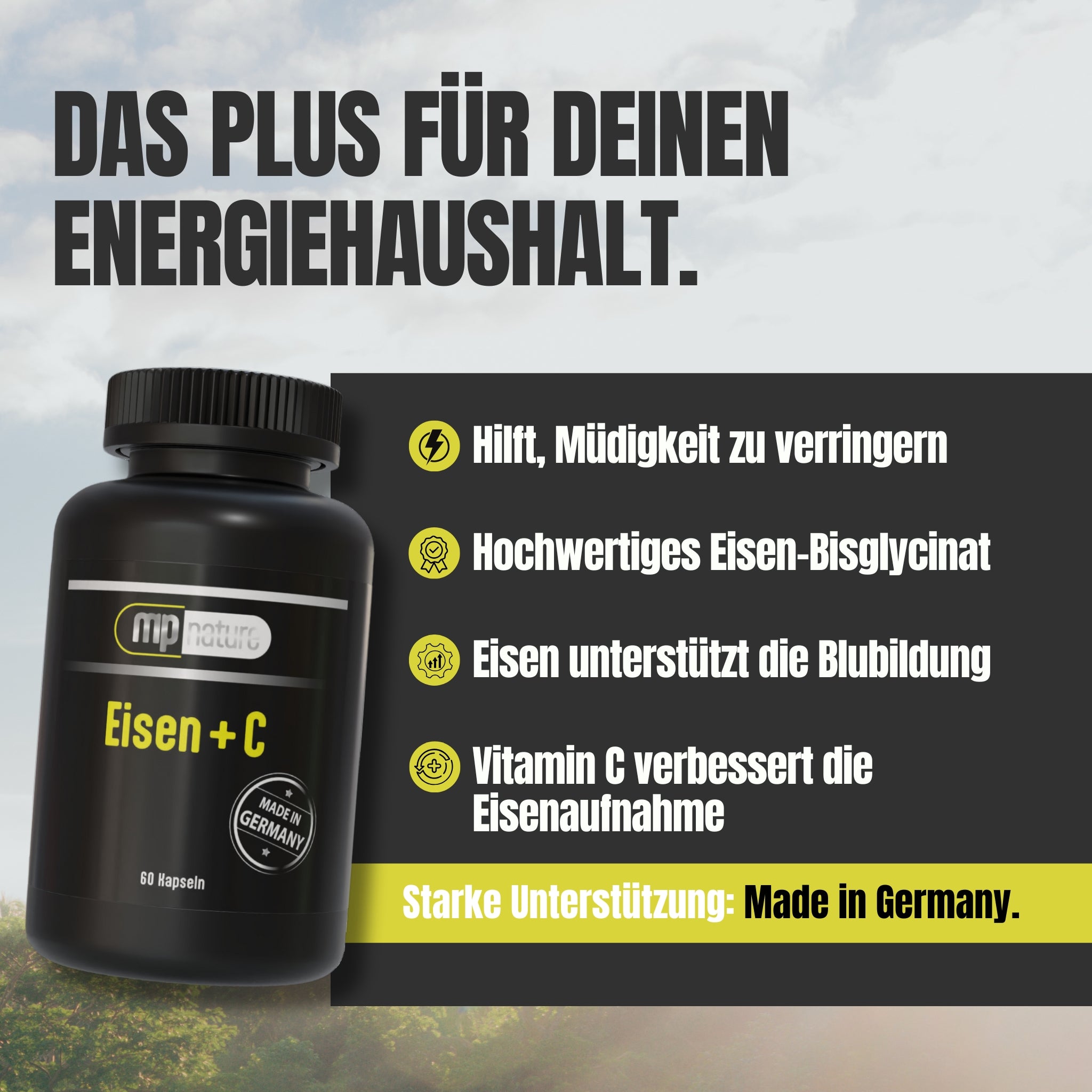 Eisen+C